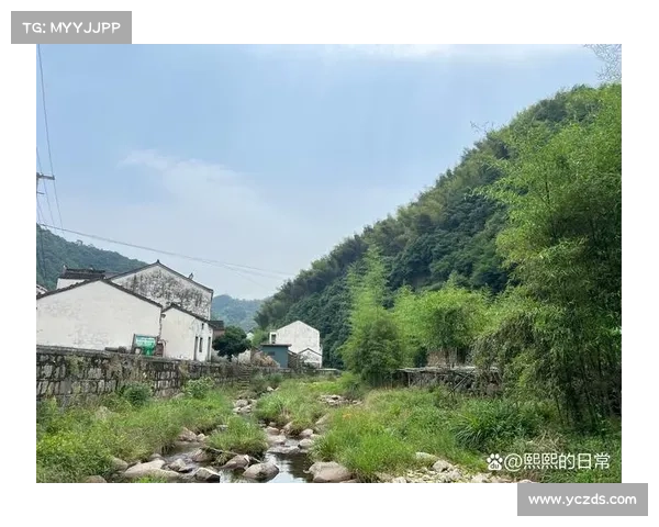 乡村宁静与自然融合的五种生活方式体验让你心灵归属与平静 乡村宁静与自然融合的五种生活方式体验让你心灵归属与平静