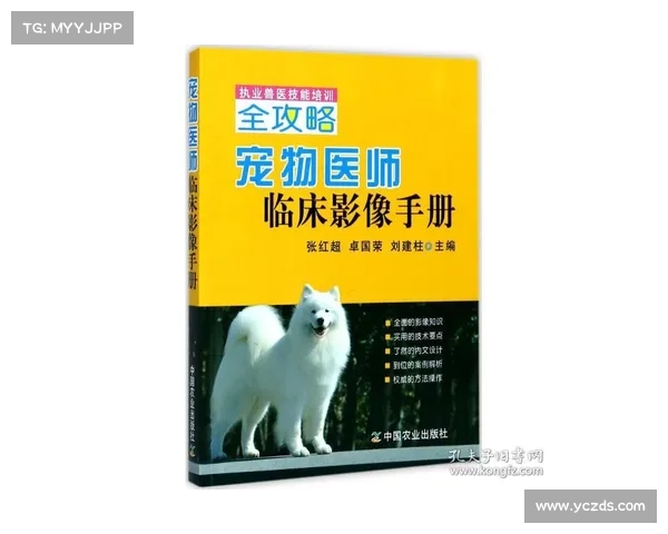 狮鹫驯养与沟通的奥秘：技巧、方法与训练过程解析