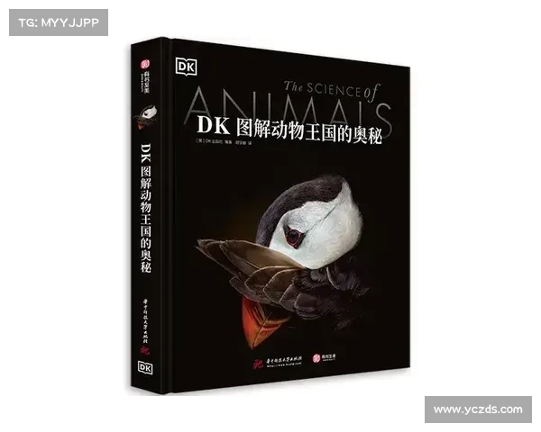 破火诀的奥秘探索与现代应用意义深析