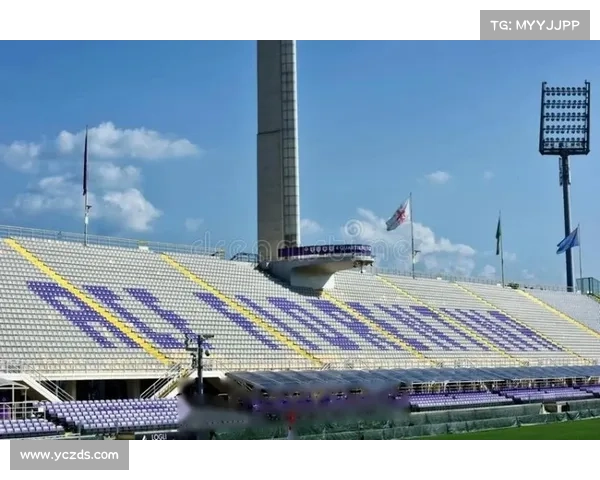 意甲无法建设自有球场的五大关键原因剖析